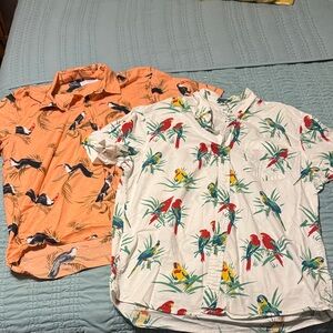 Mens Tropical Print Shirts - button ups, Large